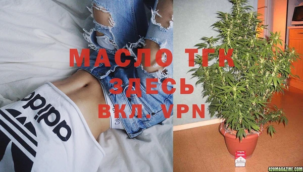 сатива Осинники