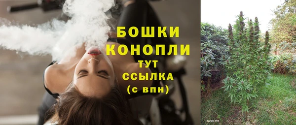 сатива Осинники