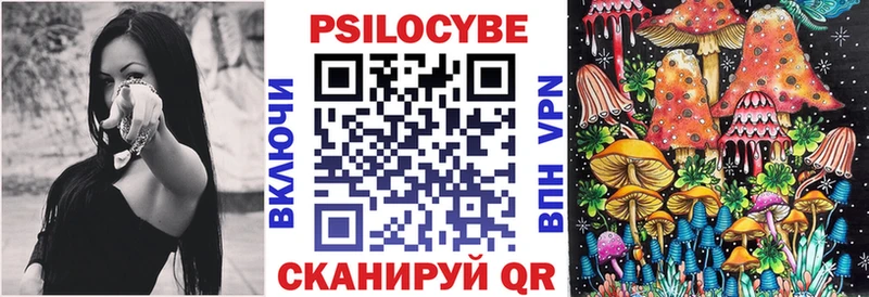 darknet какой сайт  Лабинск  Псилоцибиновые грибы Magic Shrooms 