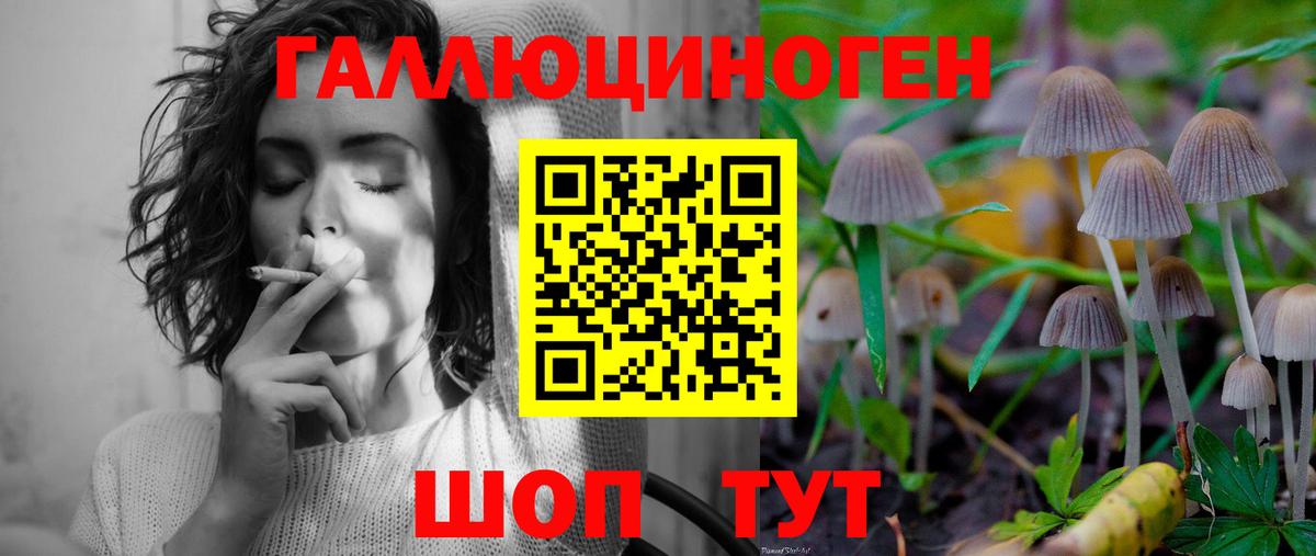 Лабинск  Псилоцибиновые грибы MAGIC MUSHROOMS  Вход с VPN 